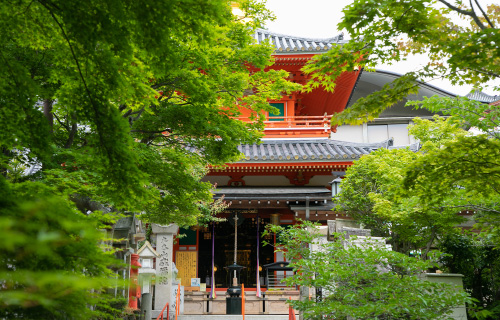 Mount Shigi, Chogosonshiji Buddhist Temple (Shigisan)